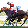 競馬初心者必見☆馬券予想🔥〜札幌記念〜G1レベルの一戦！