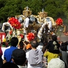 灘のけんか祭り2015