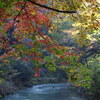 山中温泉「鶴仙渓遊歩道」紅葉