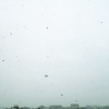 3月下旬に東京に雪が降る