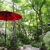 【Youtube更新】京都のような鎌倉。不思議な一条恵観山荘をライブ感覚でお届けします。