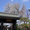 砧公園〜妙法寺