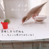 シナモン文鳥さん　味見されてプン