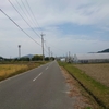 可もなく不可もなく、限りなく「可」寄りの…。