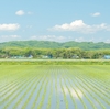 厚真町