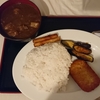 【最高！】自作カレーも高級品！だって高いもん！