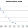 Amount of whale flesh consumption by year in Japan 