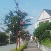 今日も暑そう