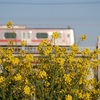 綱島駅とその周辺で撮れる写真