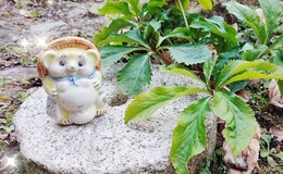 記事を見る