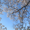 「春～」10首歌