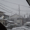 雪が積もった