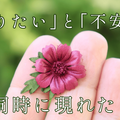 やりたいことが見つかったのに、不安で動けないときの向き合い方