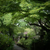 Kamakura snap #9