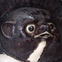 shinpsanのデータ分析blog