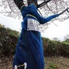 桜の木に化粧まわし？害虫クビアカツヤカミキリ対策