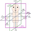 　医用画像，解剖学における方向