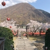 【お出かけスポット】【栃木県】【日光市】【藤原町護国神社】鬼怒川温泉の桜の名所の一つ