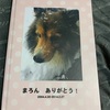 シェルティ「まろん」の犬生記　⑥