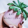 どんどん質問して下さい。という話。