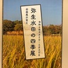 福岡市博物館5月の企画展示5つを紹介！