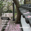 Instaweather：2018-04-06〜04-10