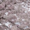 3月振り返り