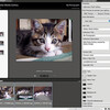  Adobe Media Gallery for Adobe Bridge CS3