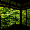 京都の絶景スポット京都東山の瑠璃光院へ。夏の京都旅に瑠璃光院が人気スポットなんだな。