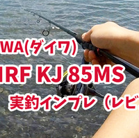 Daiwa ダイワ Hrf Air Kj hb 実釣インプレ レビュー キジハタ アコウ おすすめ最強ベイトロッド ロックリンク Rock Link Daiwa ダイワ Hrf Air Kj hb 実釣インプレ レビュー キジハタ アコウ おすすめ最強ベイトロッド ロックリンク Rock Link
