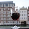 【佐世保市】ハウステンボス温泉～遊び疲れた身体をすぐに癒す塩化物泉