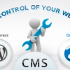 Get unique and fresh website with the help of CMS development services