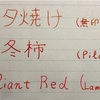 【インク】橙、赤系インク比較
