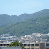 2024年5月5日（日）　六十七回目の端午の節句を普通に過ごす。