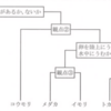 【中三応援プログラム】動物の分類（２０２１年香川）