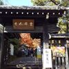 【常寂光寺】まさに紅葉見頃！モミジの極楽浄土は溜息の美しさだった