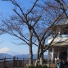 低山の浅間山、権現山、弘法山、吾妻山からは富士山が良く見えます