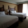 アウラニひとり旅（空港やホテル間の移動とアウラニのお部屋） / Traveling Alone to Aulani, Disney Resort and Spa (Hotel room and grand transportation)