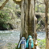 〝この世の果て〟に共に行こう(〃▽〃)〝ミク旅〟北海道(2日目)　大自然の雄大さを感じながら念願だった野付半島についに到着しました!(^^)!　