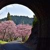 トンネルを抜けたら…