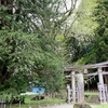 西金砂神社のサワラの木・・