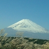 すすき付き富士山