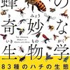 stingの意味