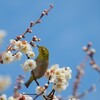 春は恋する季節！「なんか分かる！」があるのが短歌