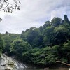 千葉県大多喜町　養老渓谷の粟又の滝に、行ってみた（2025年9月）