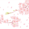 ４月は嬉しくもあり憂鬱でもあった