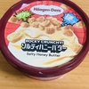 今夜のおやつ！ハーゲンダッツジャパン『ROCKY CRUNCHY！ ソルティハニーバター』を食べてみた！