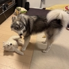 集合写真