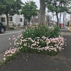 日本の未来を憂いつつ。ぼくは爬虫類は苦手です。