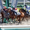 ダイヤモンドナイツ勝った！一口馬主再デビューを見事勝利で飾ってくれたぜ！